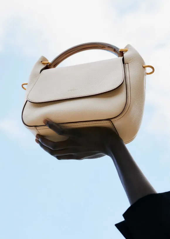 Resin Handle Crossbody Bag
